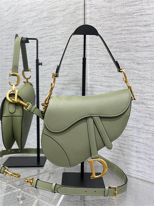 Dior Saddle Bag with Strap Pastel Peyote Green Pearlescent 25.5cm - 1