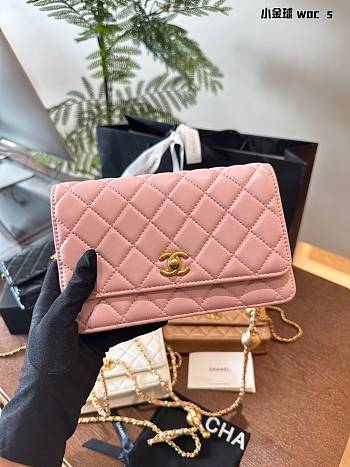 Sale Chanel Bag 104