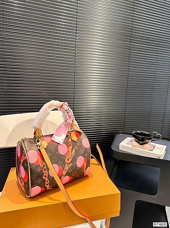 Sale Louis Vuitton Bag 69