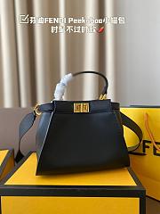 Sale Fendi Bag 39 - 6