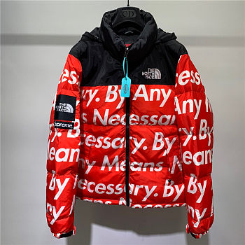 Supreme x The North Face 11