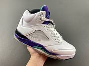 Air Jordan 5 Retro Grape (2013) 136027-108 - 2