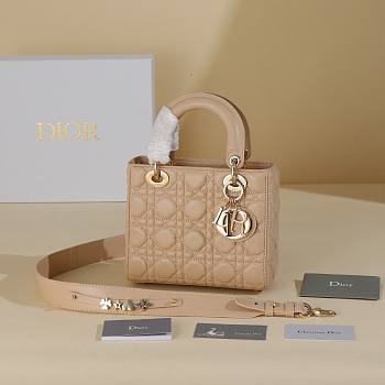 Dior Apricot Lady My ABCDIOR B930280 Size 20x17x8cm