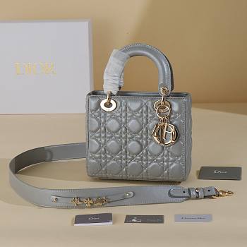 Dior Gray Lady My ABCDIOR B930282 Size 20x17x8cm