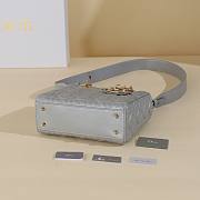 Dior Gray Lady My ABCDIOR B930282 Size 20x17x8cm - 6