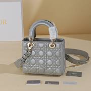 Dior Gray Lady My ABCDIOR B930282 Size 20x17x8cm - 4
