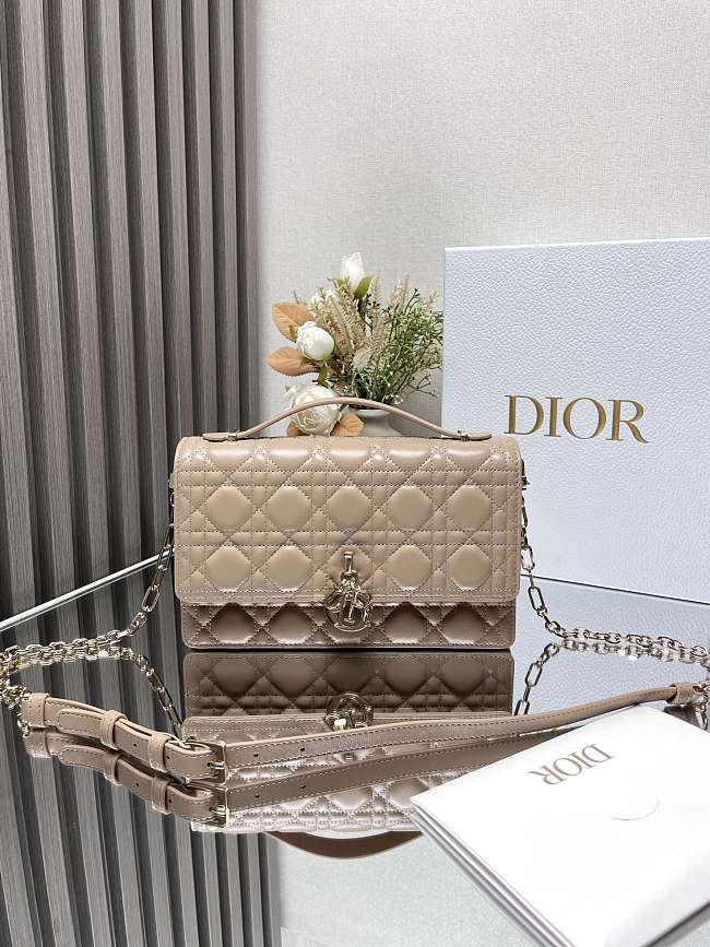 Dior Handbag Sheepskin Lambskin B930556 Size 24x14 x7cm - 1