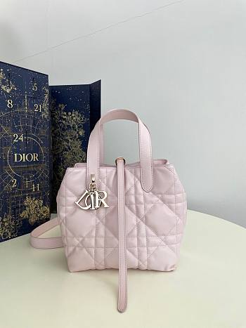 The Dior Toujours Bag Returns with a Bold pink size: 16*12*18cm