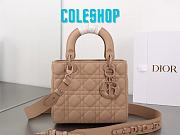 Dior Small Lady Bag Matte Pink 20cm  - 1
