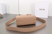Dior Small Lady Bag Matte Pink 20cm  - 2