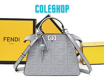 Fendi Peekaboo ISeeU Small Silver Leather Bag FF Interlacing 27x21x11cm