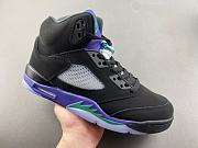 Air Jordan 5 Retro Black Grape 136027-007 - 3