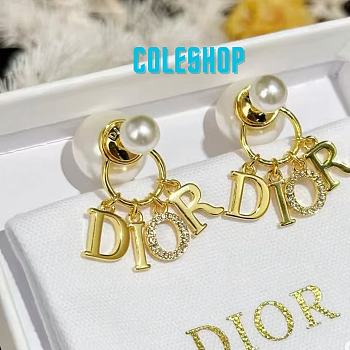 Dior 2025 New letter stud