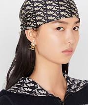 Dior 2025 New letter stud - 6