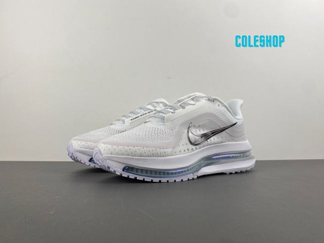 Nike Air Zoom Pegasus Premium White Metallic Silver - 1