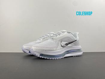 Nike Air Zoom Pegasus Premium White Metallic Silver