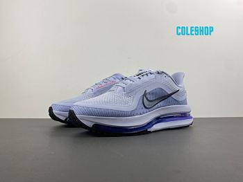 Nike Air Zoom Pegasus Premium Persian Violet HQ2592-004
