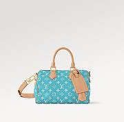 LV Speedy P9 Shoulder Bag 25 M11561 size 25cm - 5