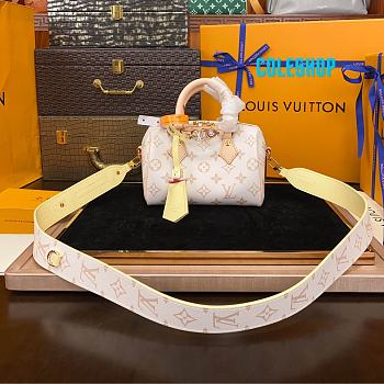 Louis Vuitton Speedy Bandoulière 18 bag