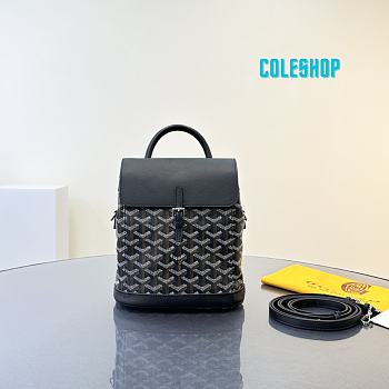 Goyard Mini Alpin Backpack Goyradline Canvas / Leather Black SHW 19x23x9cm