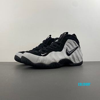 Nike Air Foamposite Pro Wolf Grey HF0794-001
